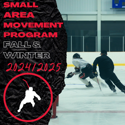 Small Area Movement Program - Fall and Winter 2024/2025