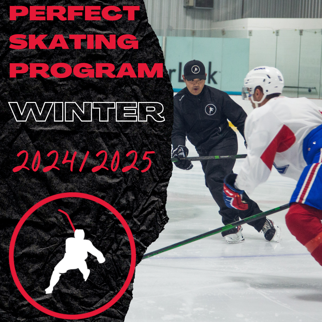 Perfect Skating Program - Winter 2024/2025