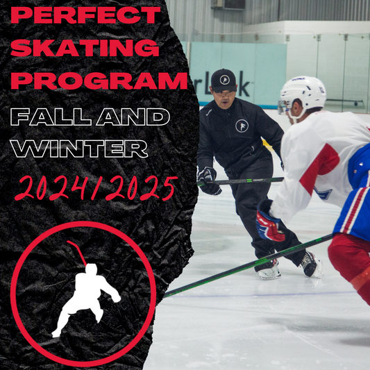 Perfect Skating Program - Fall and Winter 2024/2025