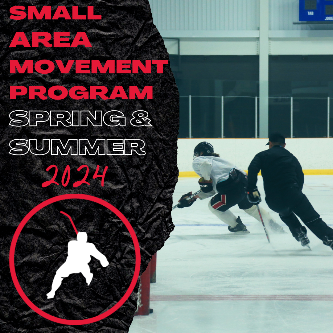 Small Area Movement Program Spring/ Summer 2024 Perfect Skating Edmonton